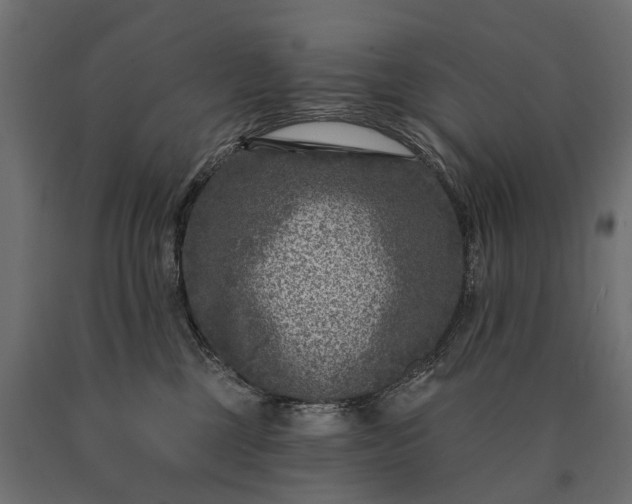 X0000090730377200708031529