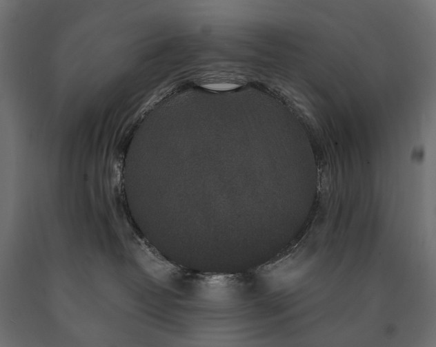 X0000090730382200708031529