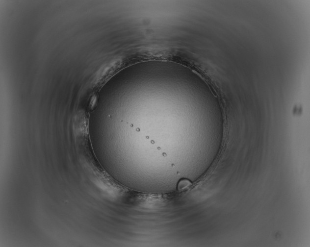 X0000090730384200708031529