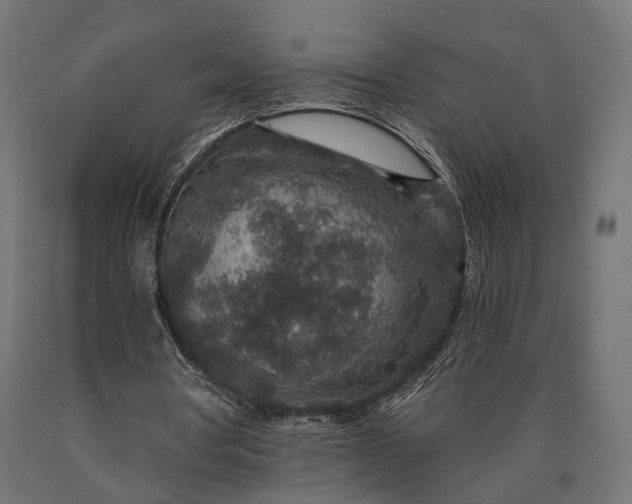 X0000090730386200708031528