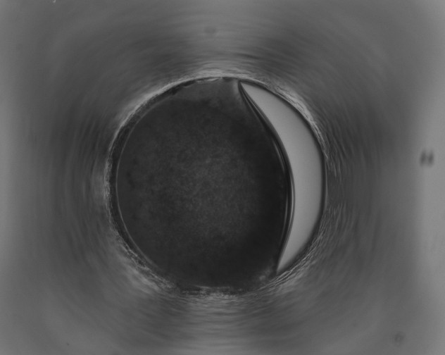 X0000090730387200708031528