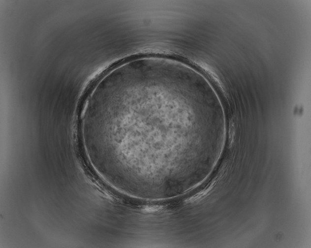 X0000090730388200708031528