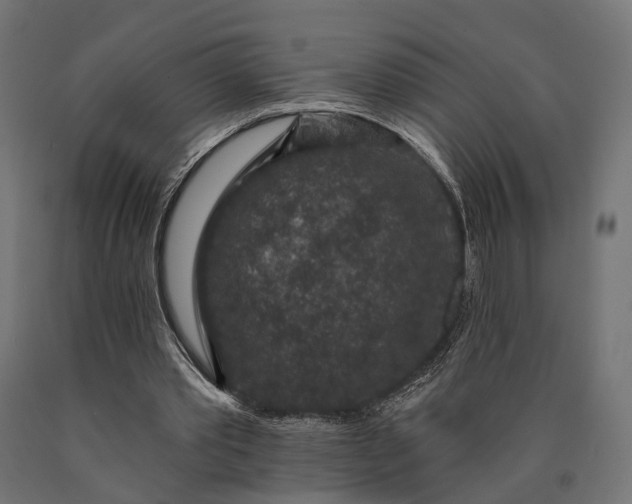 X0000090730389200708031528