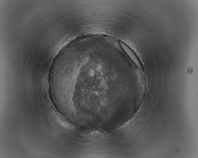 X0000090730390200708031528