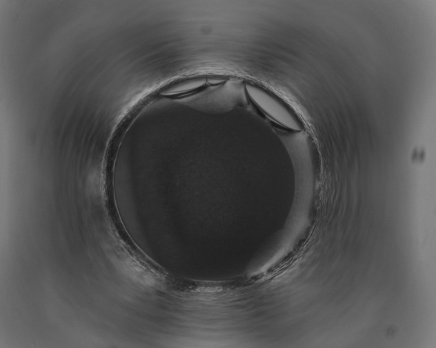 X0000090730391200708031528