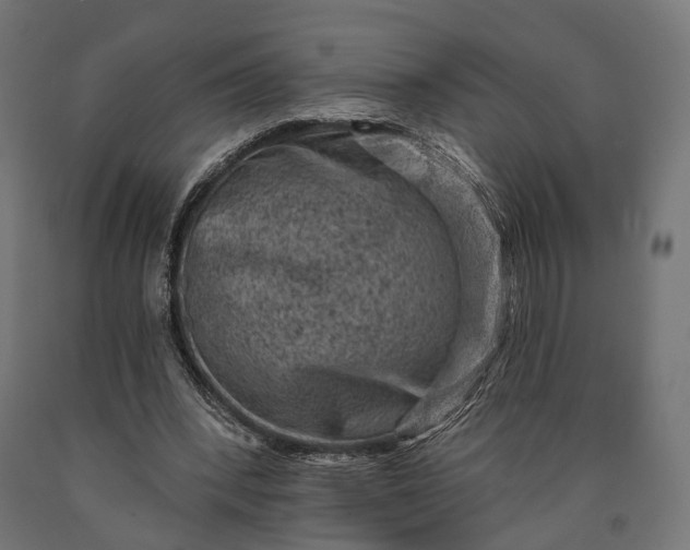 X0000090730392200708031528