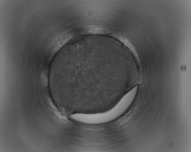 X0000090730393200708031528