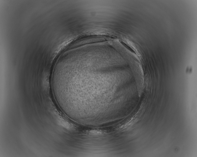 X0000090730394200708031528