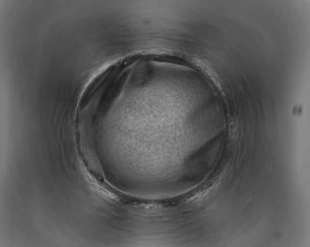 X0000090730395200708031528