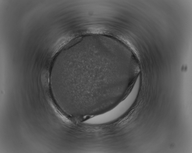 X0000090730397200708031528