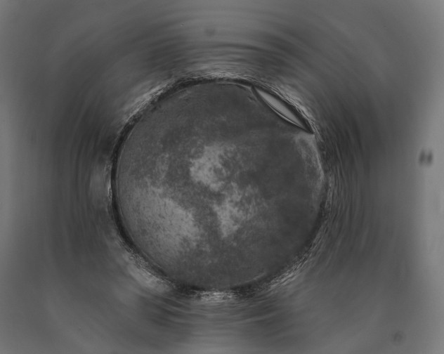 X0000090730398200708031528