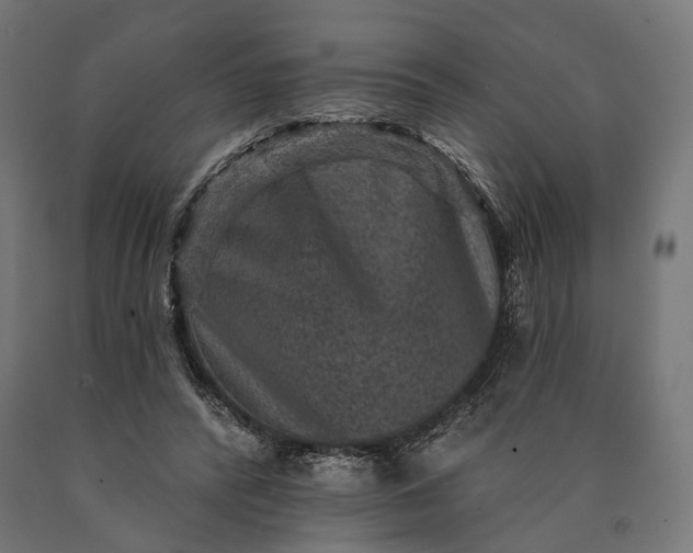 X0000090730400200708031528