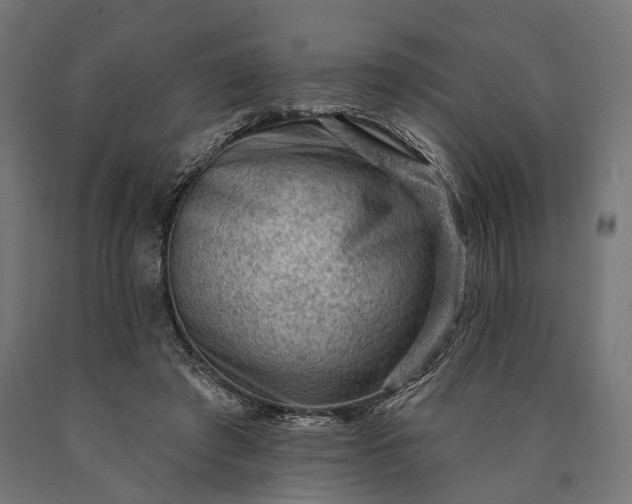 X0000090730401200708031528