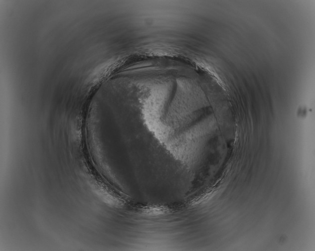 X0000090730402200708031528