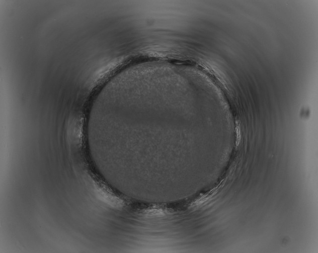 X0000090730404200708031528