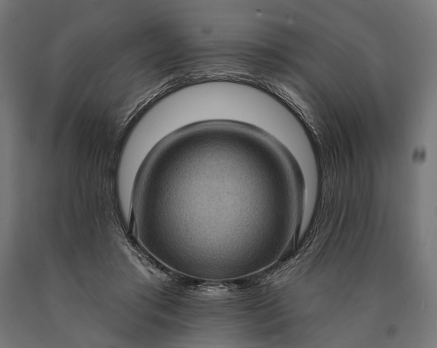 X0000090730405200708031528