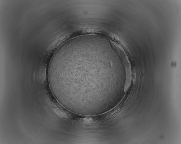 X0000090730406200708031528