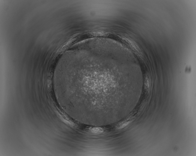 X0000090730409200708031528