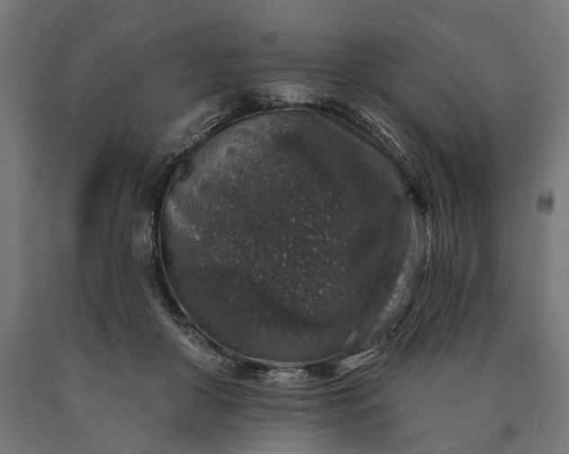 X0000090730410200708031528