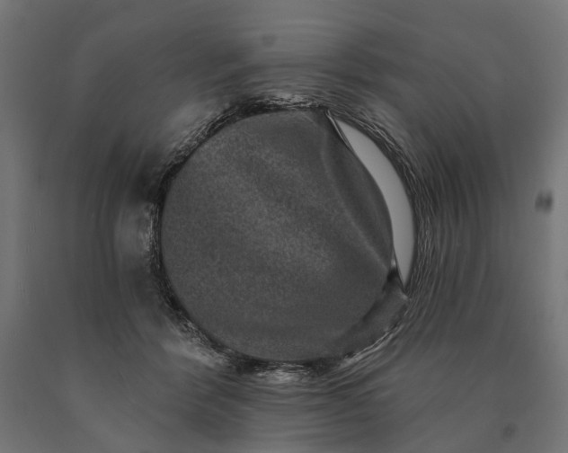 X0000090730412200708031528