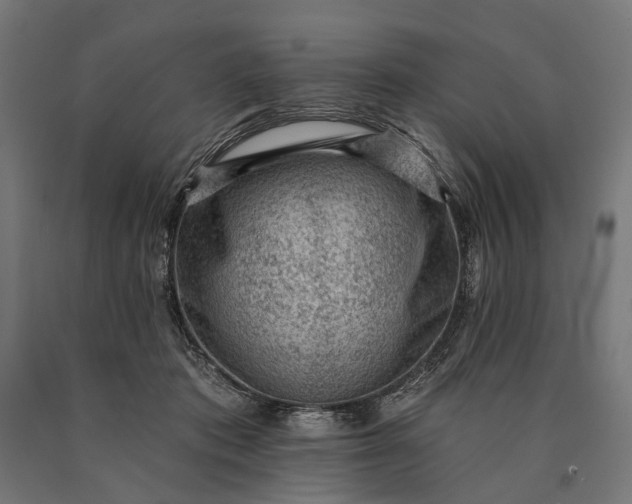 X0000090730413200708031528