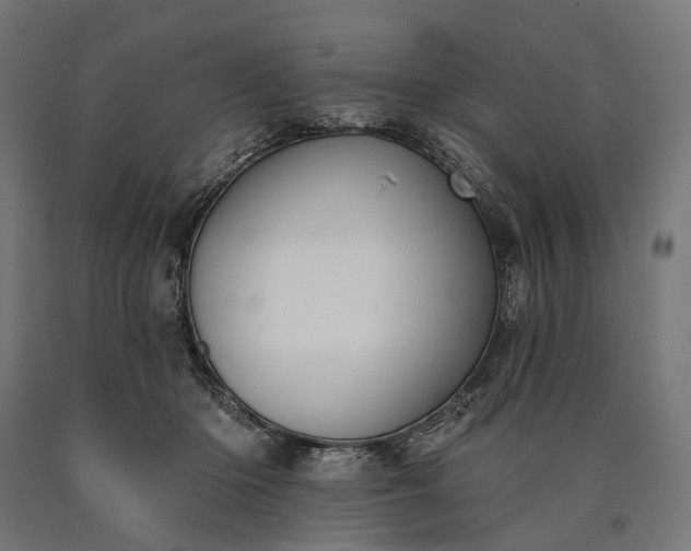 X0000090730414200708031528