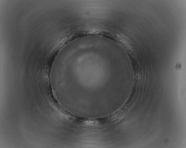 X0000090730415200708031528