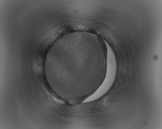 X0000090730416200708031528