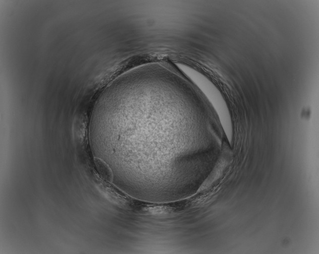 X0000090730417200708031528