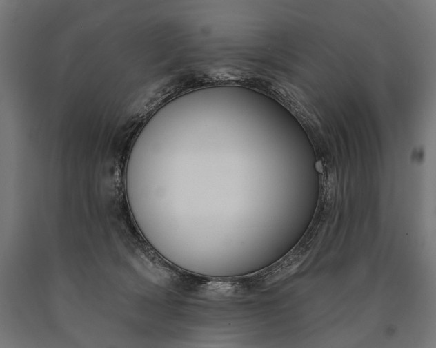 X0000090730418200708031528