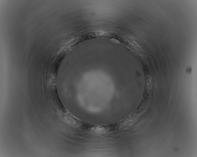 X0000090730419200708031527