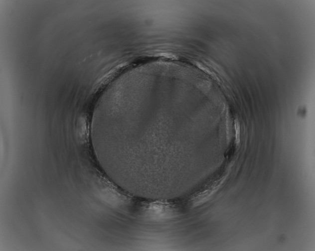 X0000090730420200708031527