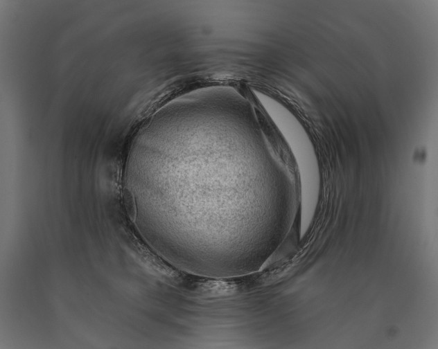 X0000090730421200708031527