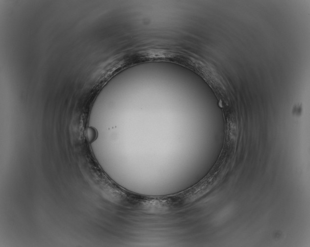 X0000090730422200708031527