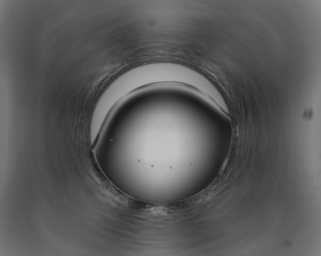 X0000090730423200708031527