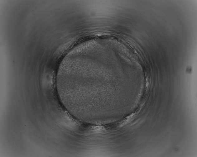 X0000090730424200708031527