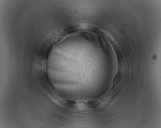 X0000090730425200708031527