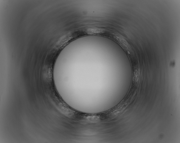 X0000090730426200708031527