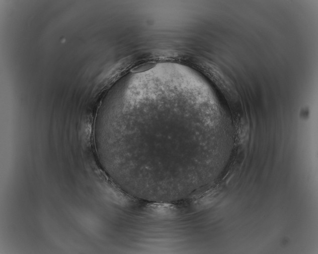 X0000090730427200708031527