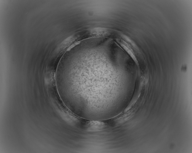 X0000090730429200708031527