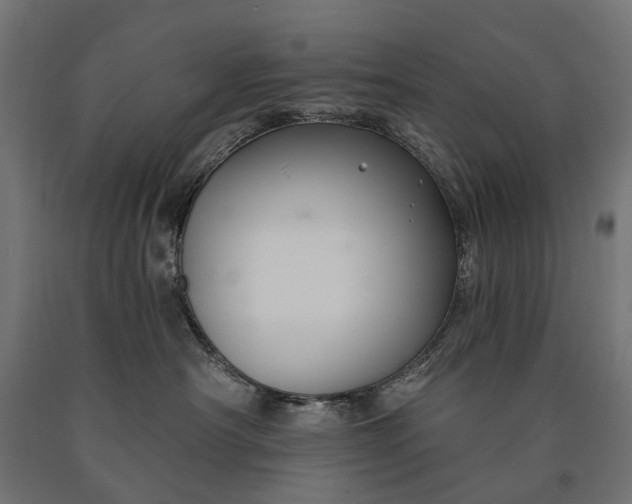 X0000090730430200708031527