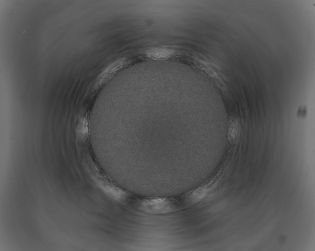 X0000090730431200708031527