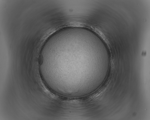 X0000090730433200708031527