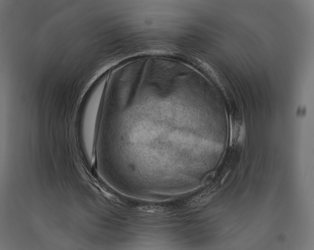 X0000090730435200708031527