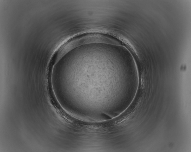 X0000090730436200708031527