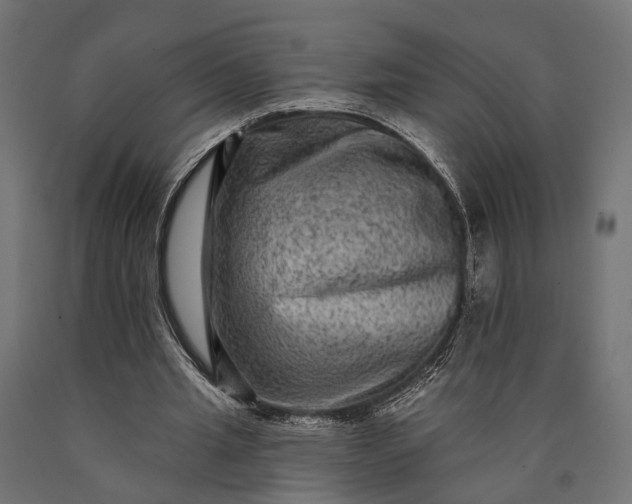 X0000090730437200708031527