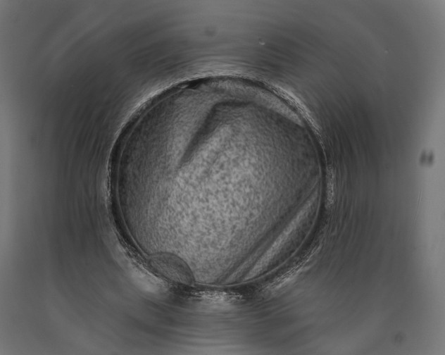 X0000090730439200708031527