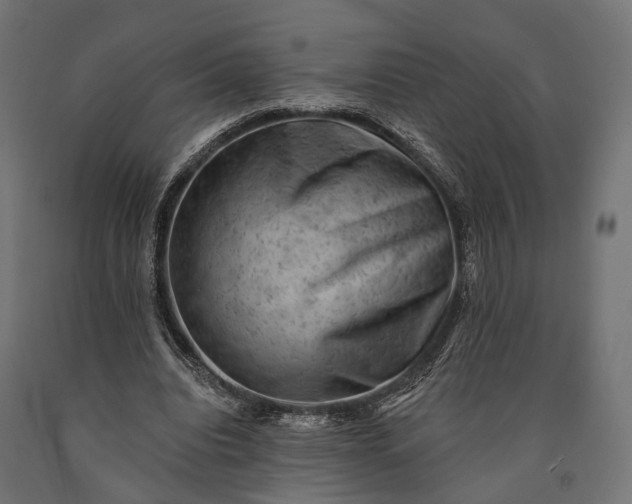 X0000090730440200708031527