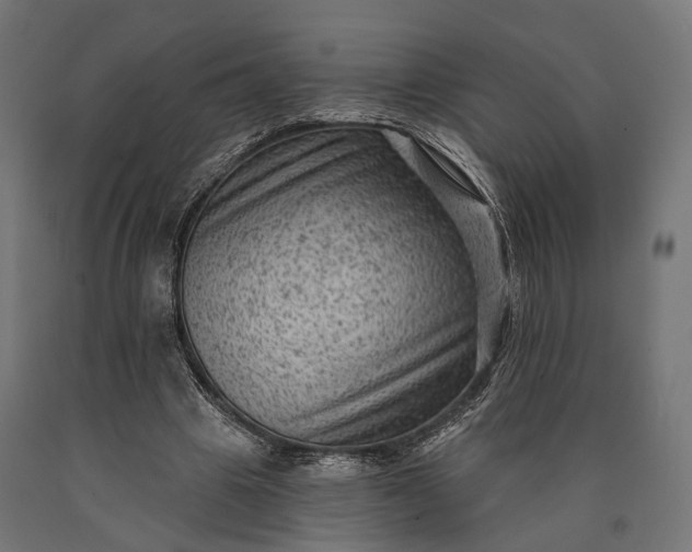 X0000090730441200708031527