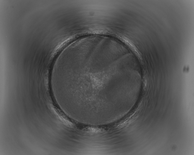 X0000090730442200708031527